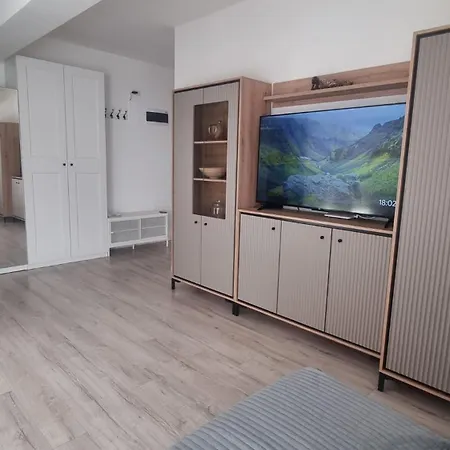 Apartment Satina With Private Parking & Self Check-in *